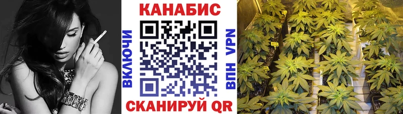 Бошки марихуана план  наркотики  Липецк 